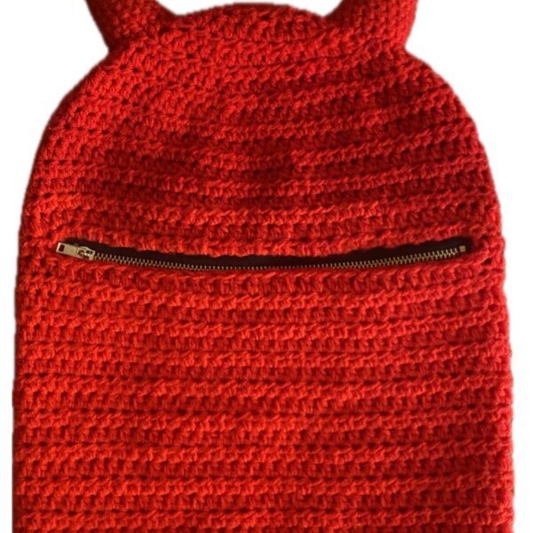 Ziplock Balaclava