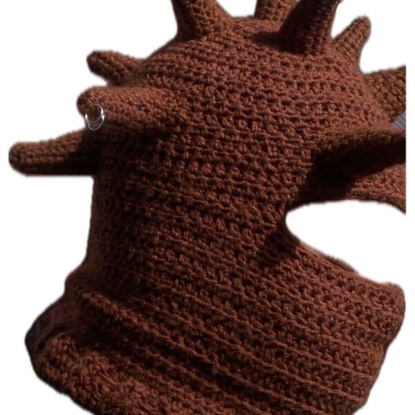 Kodak Balaclava 🧶