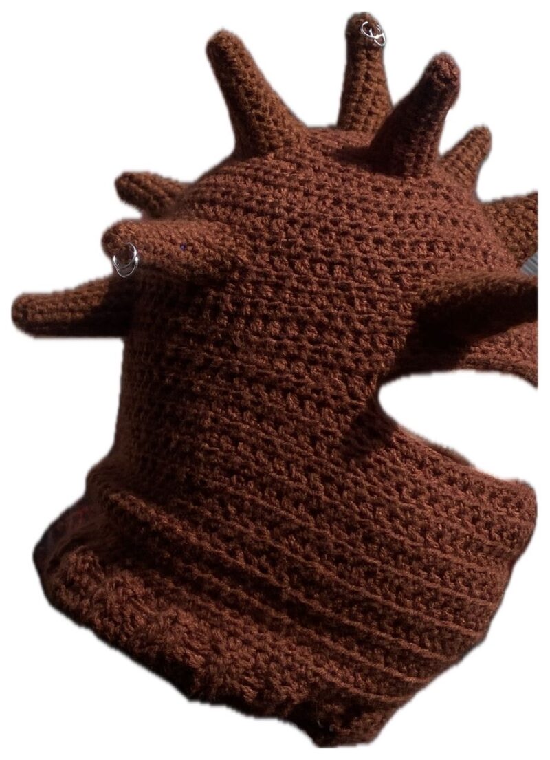 Kodak Balaclava 🧶